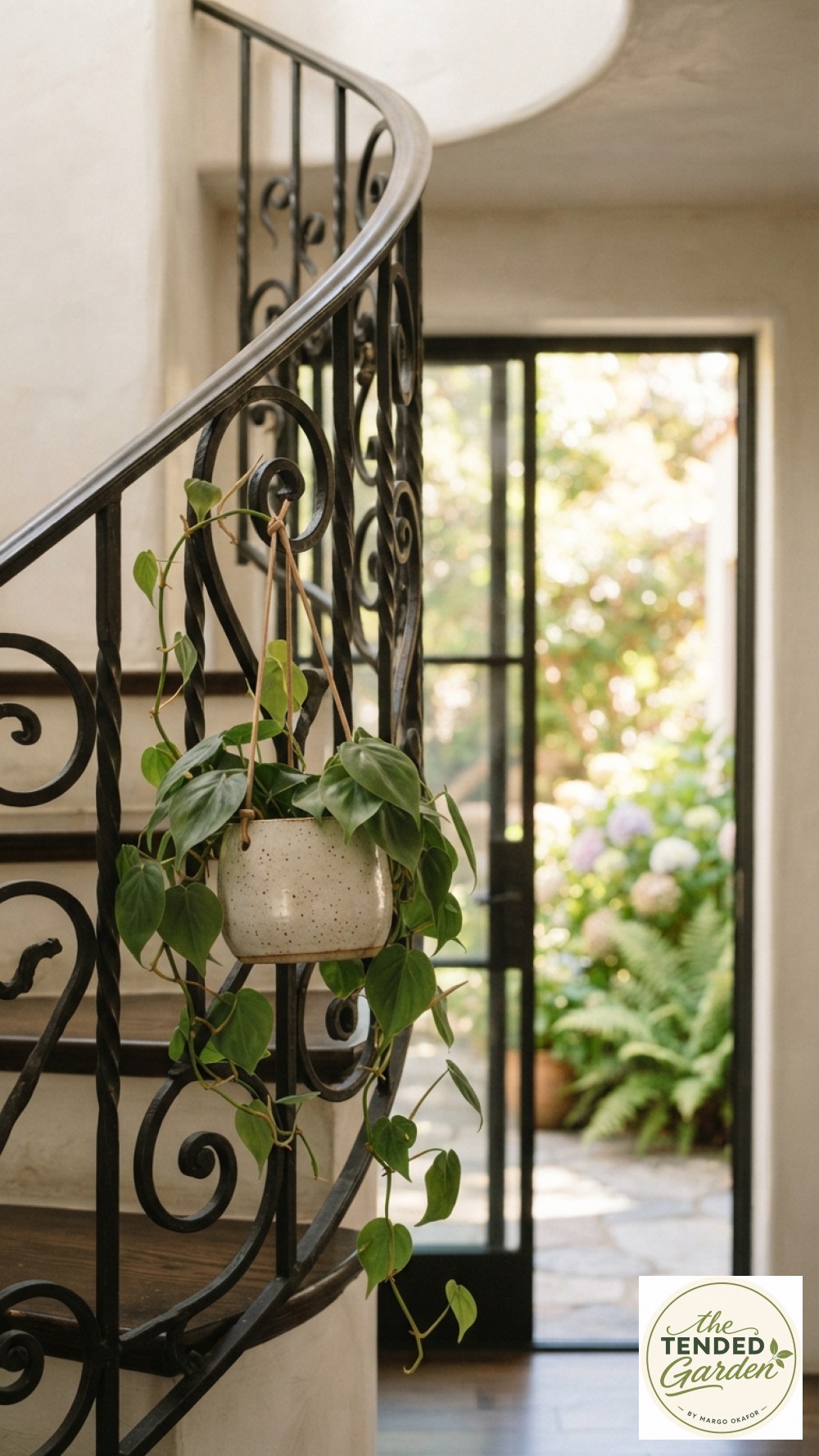 Close-up of a wrought-iron spiral stair railing plant hanger with a single trailing philodendron planter